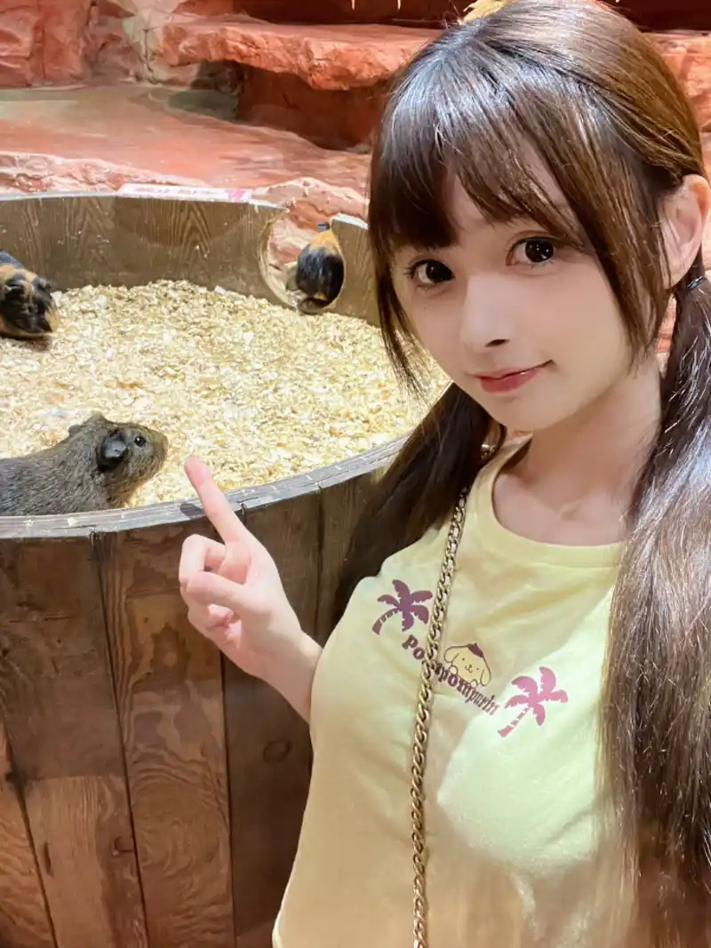 爱情岛线路一二号线怎么选？节奏侧重下载安装教程