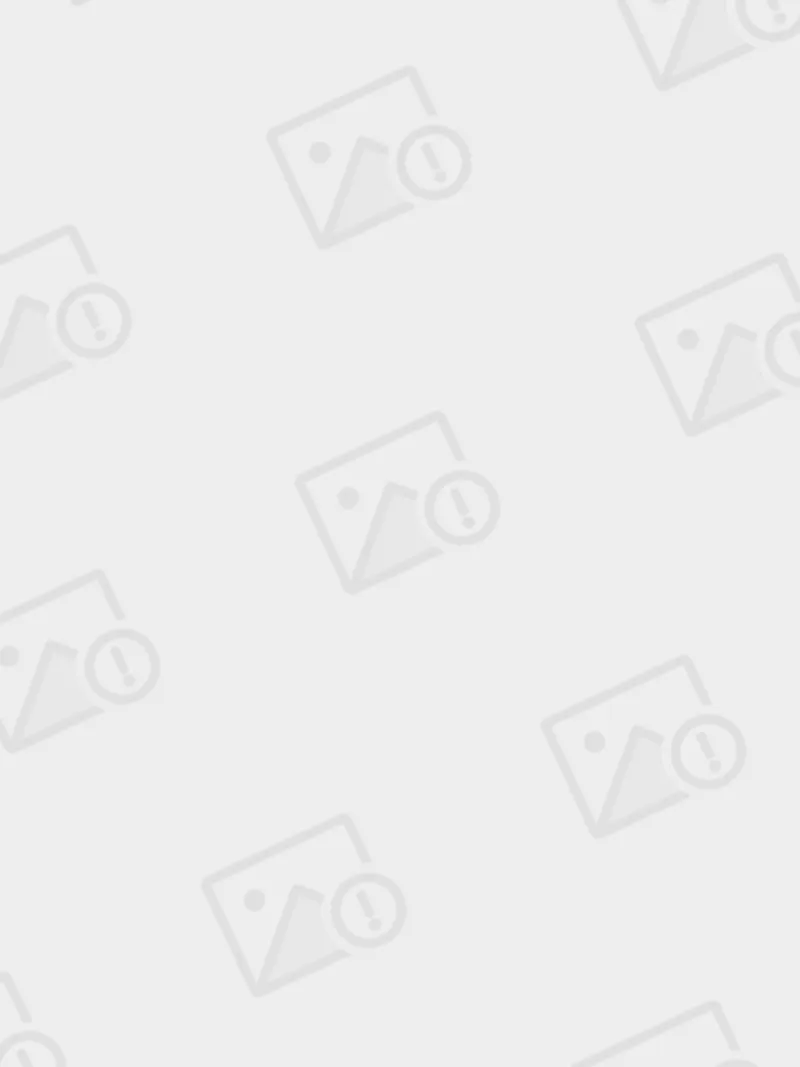 免费畅玩鸡鸡对鸡鸡英文怎么说？含义语境与游戏解析正式版