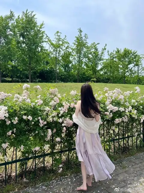 无广告笔趣阁小说网站免费阅读下载入口与访问下载