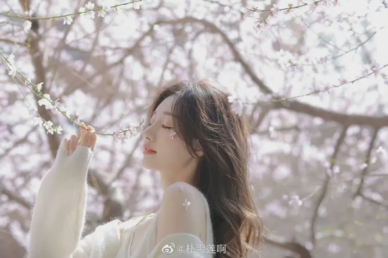 无广告Loveme铃与枫第三季续订与下载满级破解
