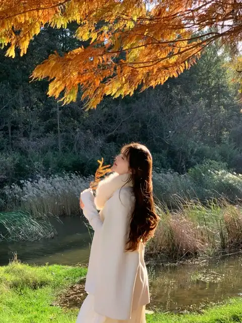 Loveme铃与枫结局解析：关系与心声修改版下载 截图4