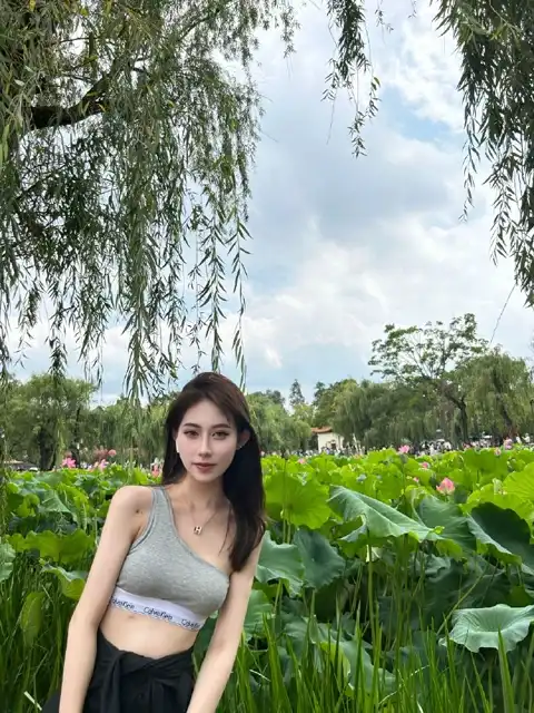 真人无码从业者：职业档案绿色版攻略大全