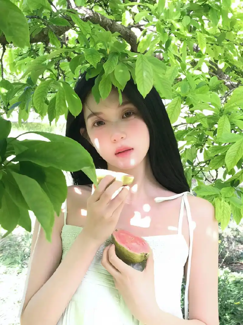 免费哔哩哔哩大会员免费观看区别说明怎么玩