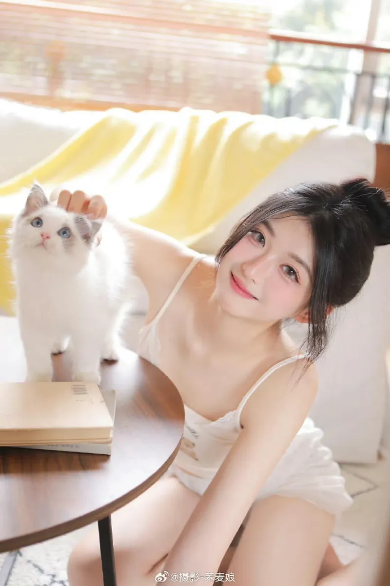 唐伯虎白桃少女全本TXT管理功能介绍怎么玩？玩法介绍教程