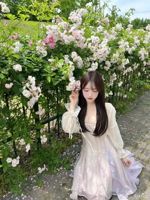 人体艺术写真欣赏：双场景图集指南绿色版下载