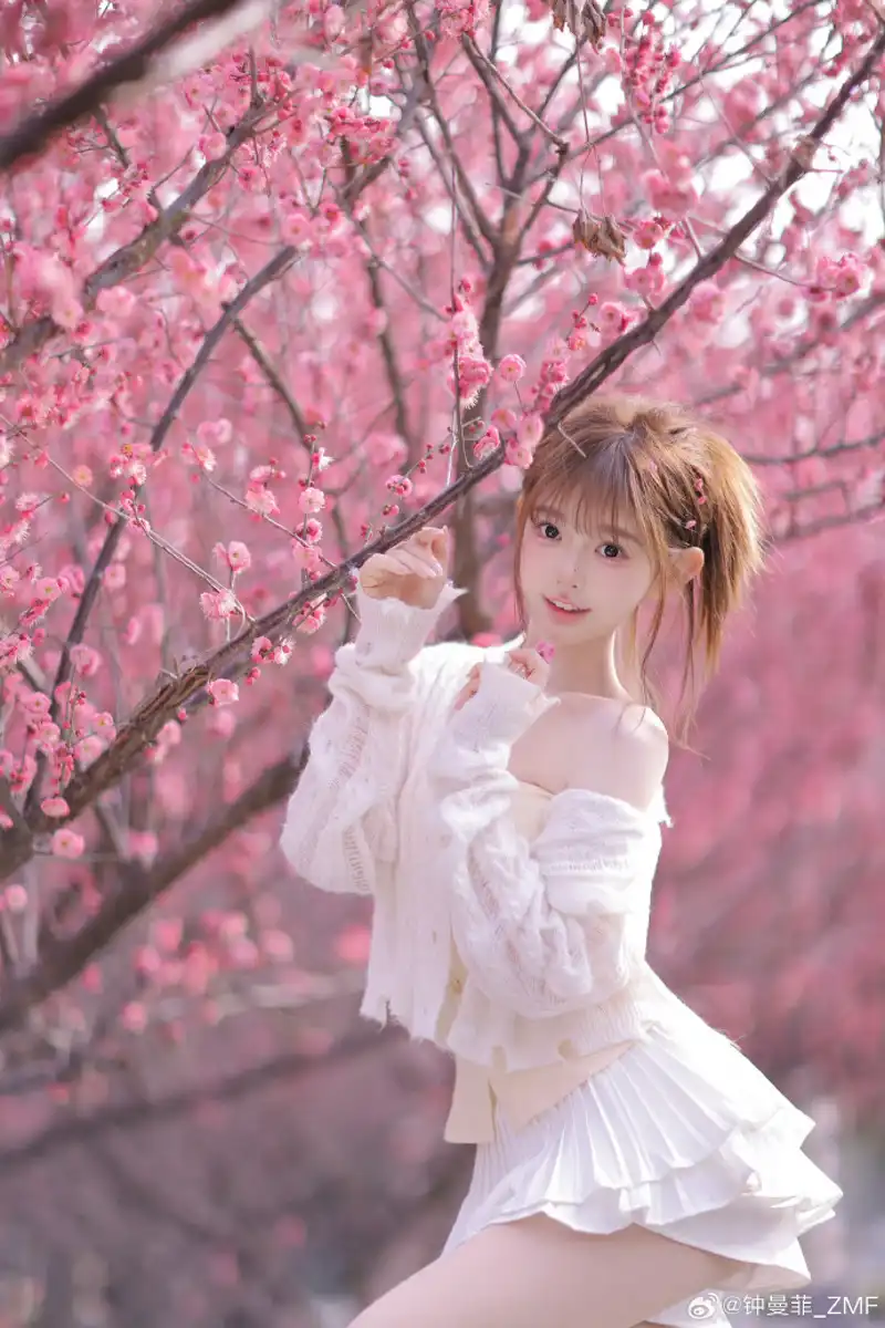 2026年368776是哪里的代码?编码谜局电脑下载推荐