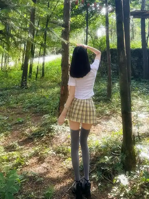 免费欢迎来到精灵之森OVA剧情介绍与高清播放无限金币 截图2