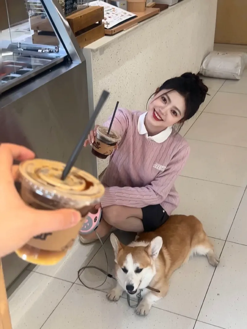 苏州晶体有限公司资质查询清单下载安装怎么玩