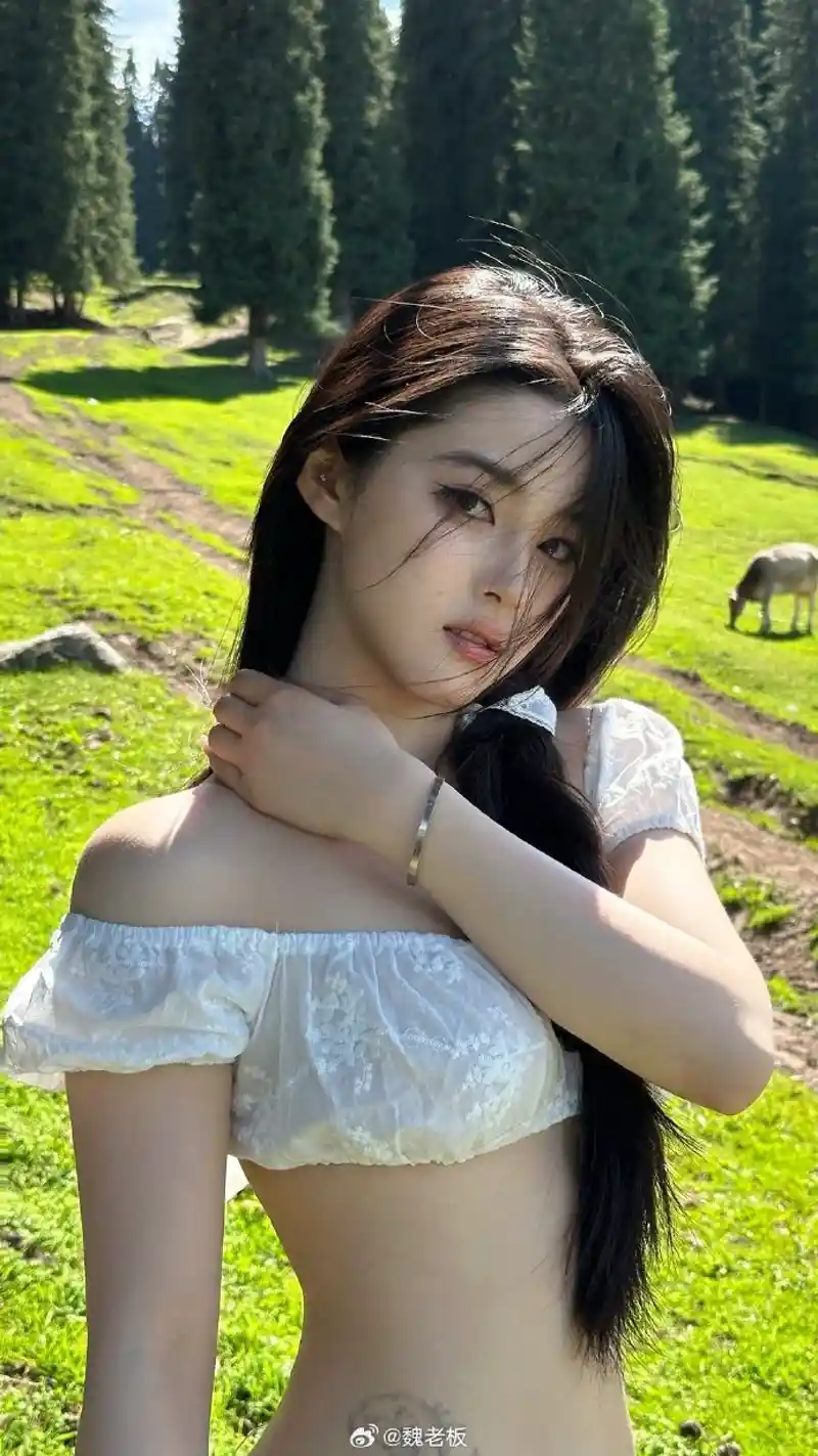 SVG/ICO图标工坊下载_模板范例获取最新版本介绍