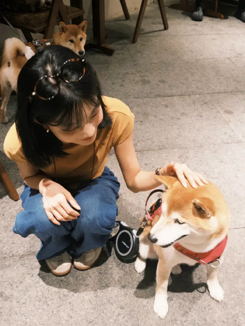 免费全国楼风信交流游戏下载-楼宇信息模拟无限金币 截图4