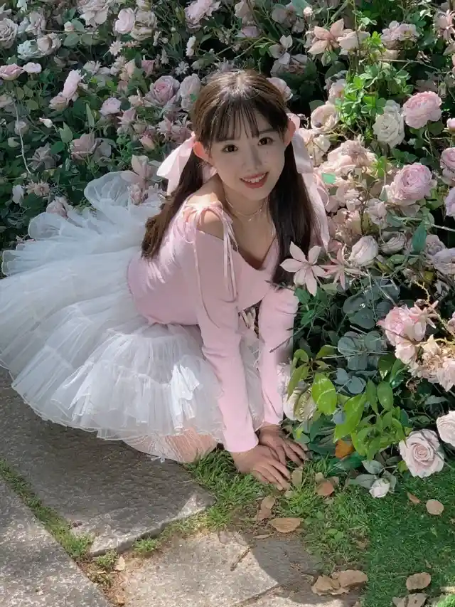 正版台湾电影《花花世界》盘点与整理重点下载手机下载