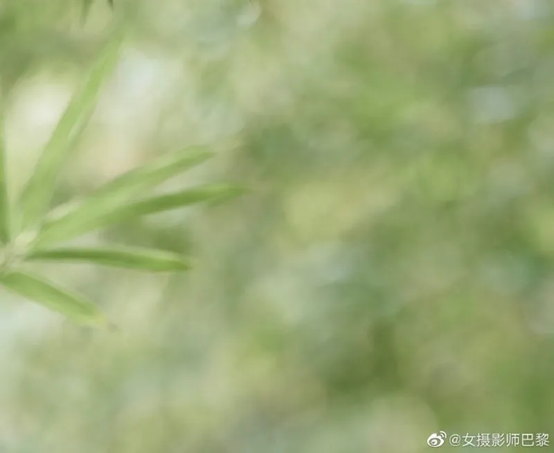 油管18怎么开：按年龄验证与内容设置步骤破解版下载