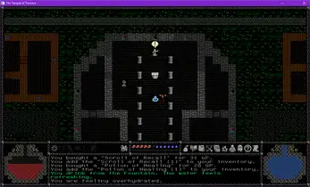 The Temple of Torment 截图3