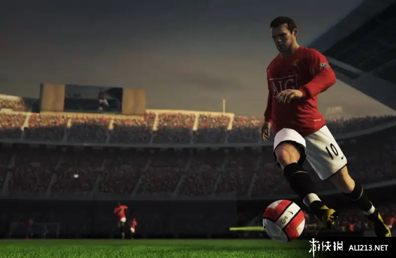 FIFA世界足球 2009 截图3
