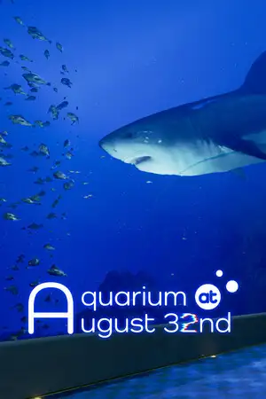 8月32日的水族馆