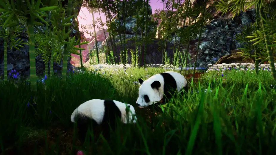 Animallica 截图2