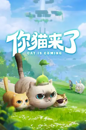你猫来了