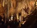 深渊恐惧症 截图3