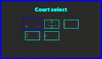 Birdsketball 截图3
