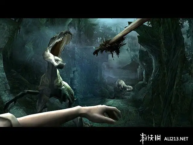 金刚 截图2