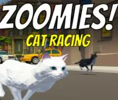 动物！猫咪赛跑