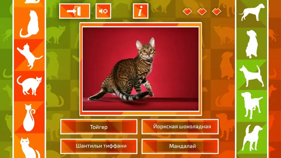 JQ：猫狗 截图2