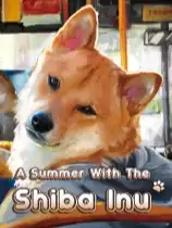 与柴犬共度夏天