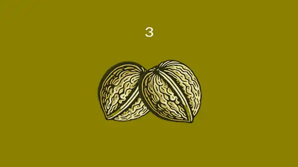 坚果 截图3