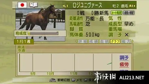 赛马大亨6 截图3