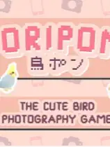 鸟蓬