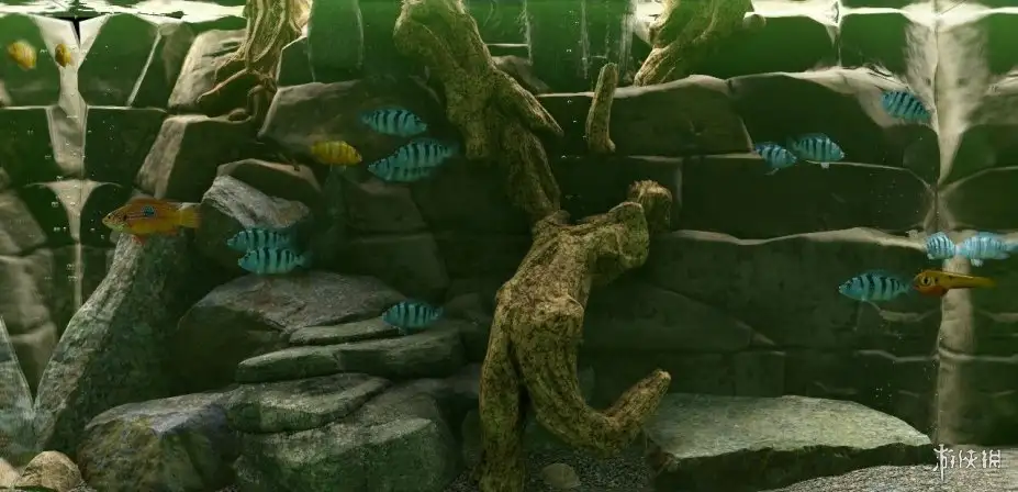 Biotope 截图3