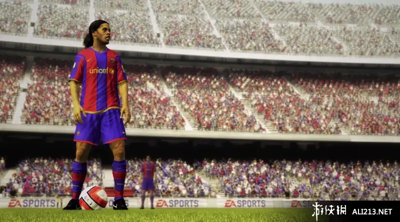 FIFA世界足球 2009 截图1