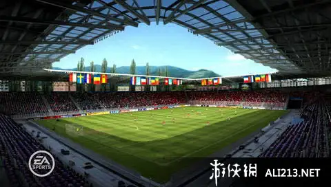欧洲杯2008 截图2