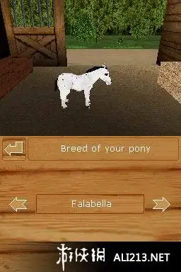 探索频道 小马天堂 截图2