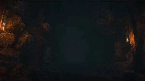 斯特里戈伊 截图3