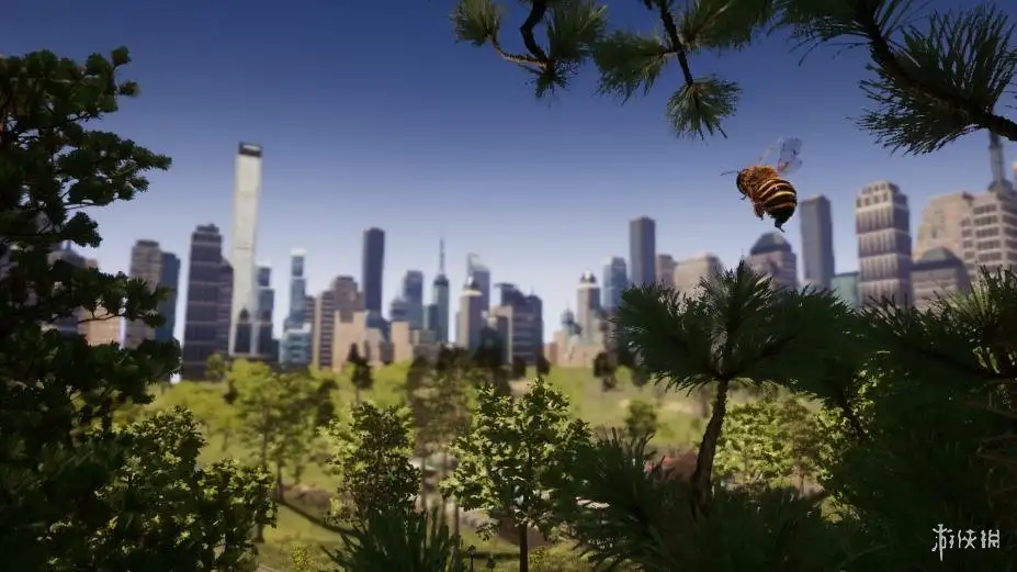 蜜蜂模拟 截图3