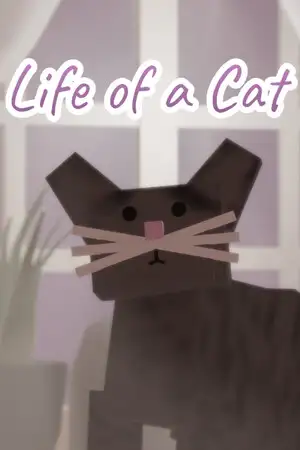 猫的生活