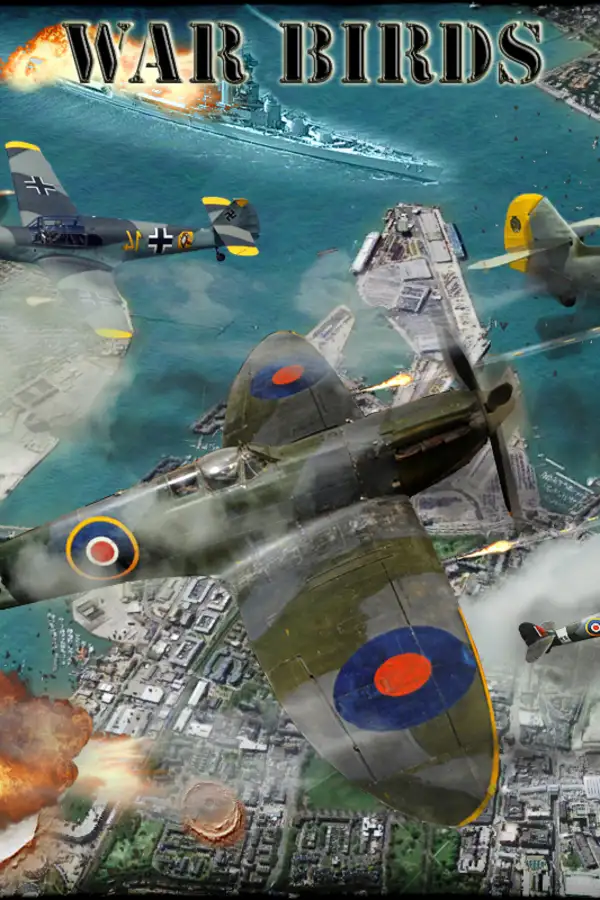 战鸟：二战空袭1942