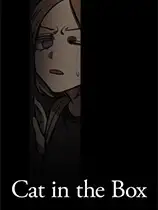 盒子里的猫咪