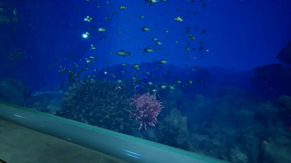 8月32日的水族馆 截图1