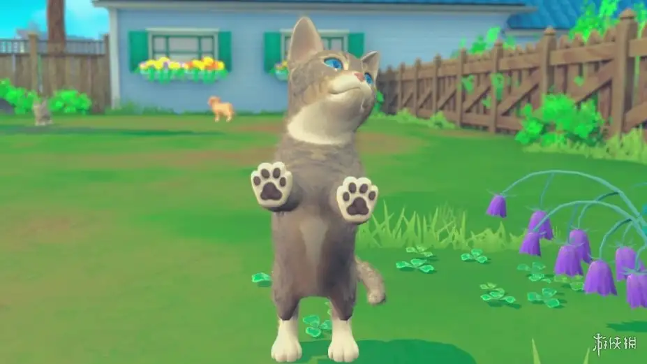 我的领域：小猫小狗 截图1