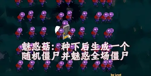 植物大战僵尸风韵版 截图3