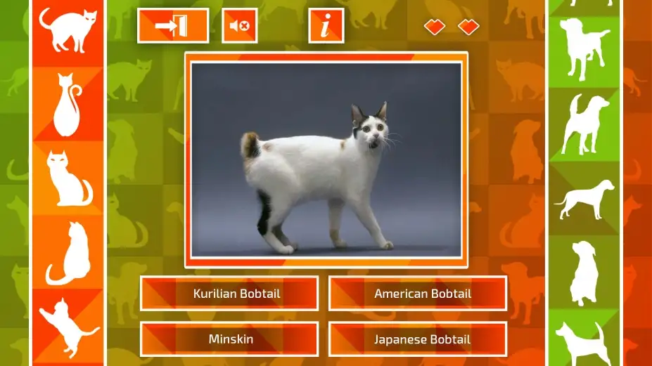 JQ：猫狗 截图1
