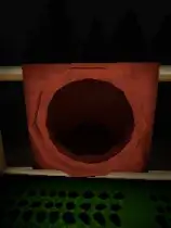 在树林中滑行