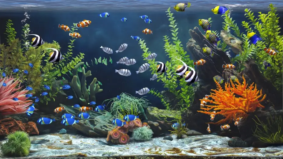 禅意水族馆 截图3