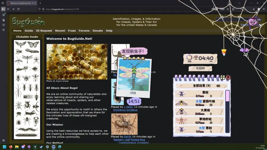我的小小蜘蛛 截图2