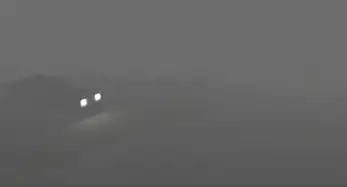 生命之雾2 截图2