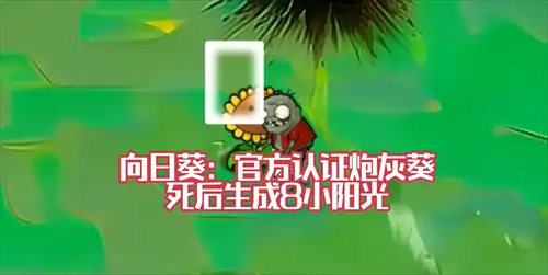 植物大战僵尸风韵版 截图2