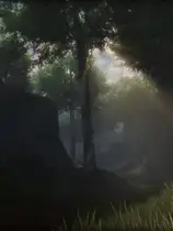 楼梯