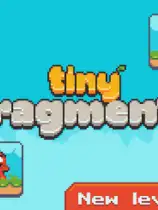 Tiny Fragments